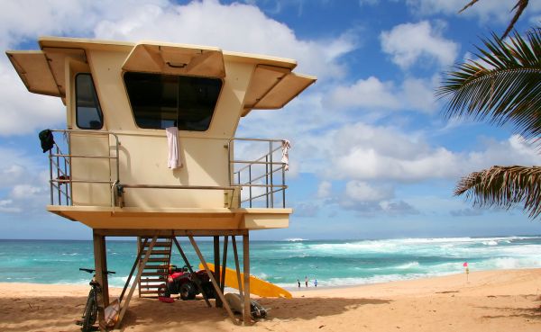 m-Hawaii-Beach-353891
